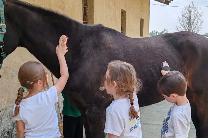 Educazione sentimentale a scuola