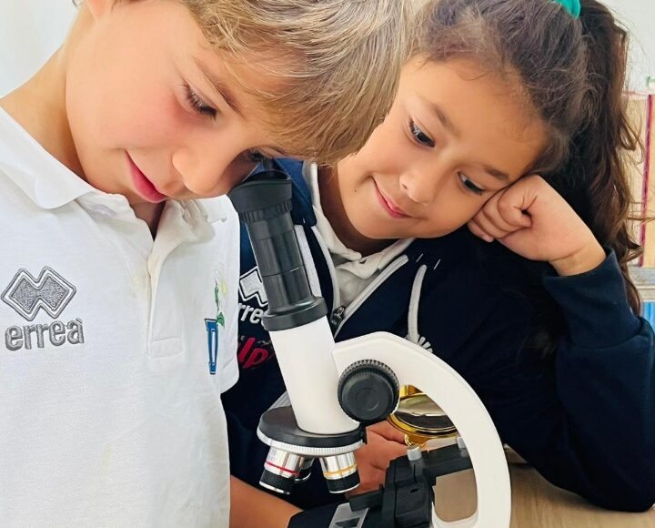 Why is science important?